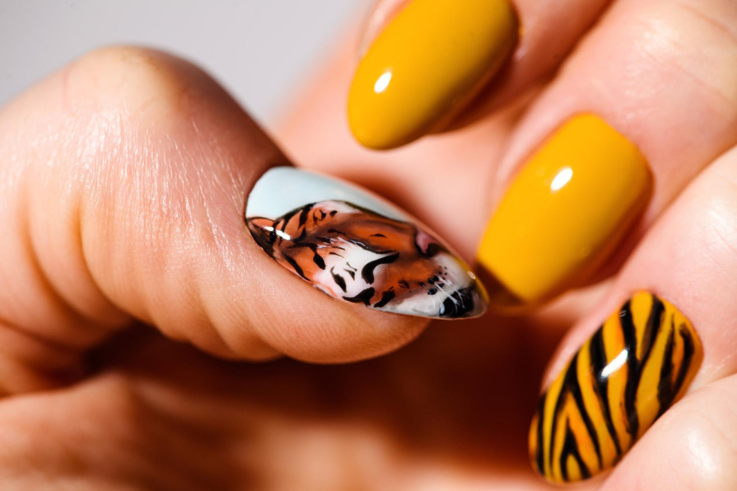 Art of Nail Stamping